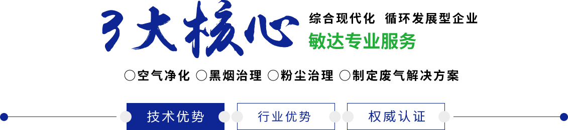 掰开逼日给你看敏达环保科技（嘉兴）有限公司